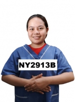 NY2913B